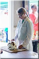 LCFair2016-0302.jpg