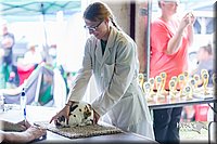 LCFair2016-0303.jpg