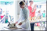 LCFair2016-0305.jpg