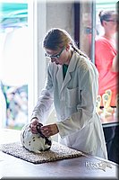 LCFair2016-0306.jpg