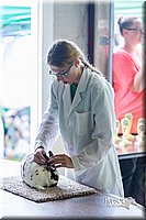 LCFair2016-0307.jpg