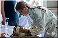 LCFair2016-0308.jpg