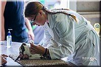 LCFair2016-0309.jpg
