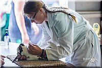 LCFair2016-0310.jpg