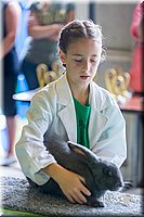 LCFair2016-0314.jpg