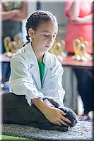 LCFair2016-0315.jpg
