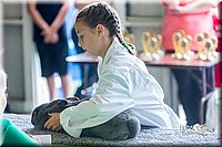 LCFair2016-0317.jpg