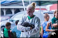 LCFair2016-0323.jpg