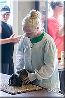 LCFair2016-0327.jpg