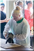 LCFair2016-0328.jpg