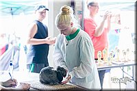 LCFair2016-0330.jpg