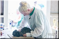 LCFair2016-0331.jpg