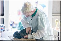 LCFair2016-0332.jpg