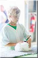 LCFair2016-0333.jpg