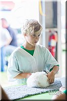 LCFair2016-0335.jpg