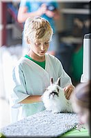 LCFair2016-0336.jpg
