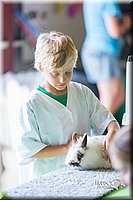 LCFair2016-0337.jpg