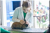 LCFair2016-0338.jpg