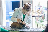 LCFair2016-0339.jpg