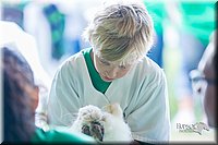 LCFair2016-0341.jpg