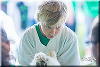 LCFair2016-0342.jpg