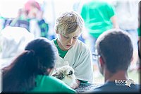 LCFair2016-0343.jpg