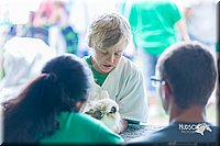 LCFair2016-0344.jpg
