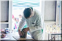 LCFair2016-0347.jpg