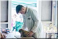 LCFair2016-0349.jpg