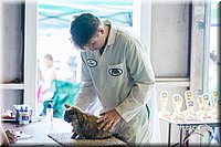 LCFair2016-0350.jpg