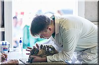 LCFair2016-0352.jpg