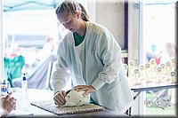 LCFair2016-0353.jpg