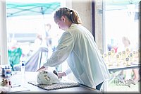 LCFair2016-0354.jpg