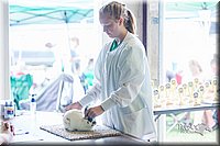 LCFair2016-0355.jpg