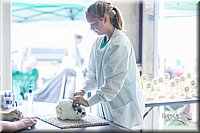 LCFair2016-0357.jpg