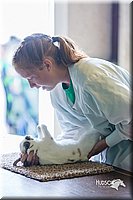 LCFair2016-0358.jpg