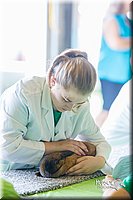 LCFair2016-0360.jpg