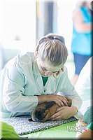 LCFair2016-0361.jpg