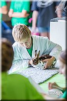 LCFair2016-0362.jpg