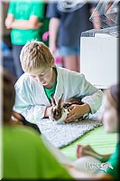 LCFair2016-0363.jpg