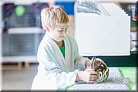 LCFair2016-0364.jpg