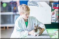 LCFair2016-0365.jpg