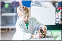 LCFair2016-0366.jpg