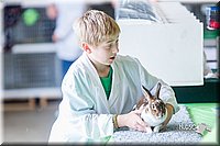 LCFair2016-0367.jpg