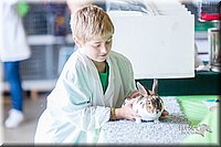 LCFair2016-0368.jpg