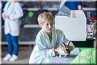 LCFair2016-0369.jpg