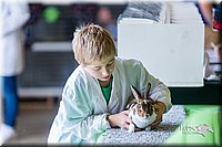 LCFair2016-0370.jpg