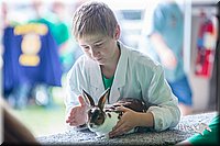 LCFair2016-0371.jpg