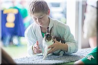 LCFair2016-0372.jpg