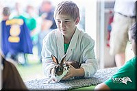 LCFair2016-0373.jpg
